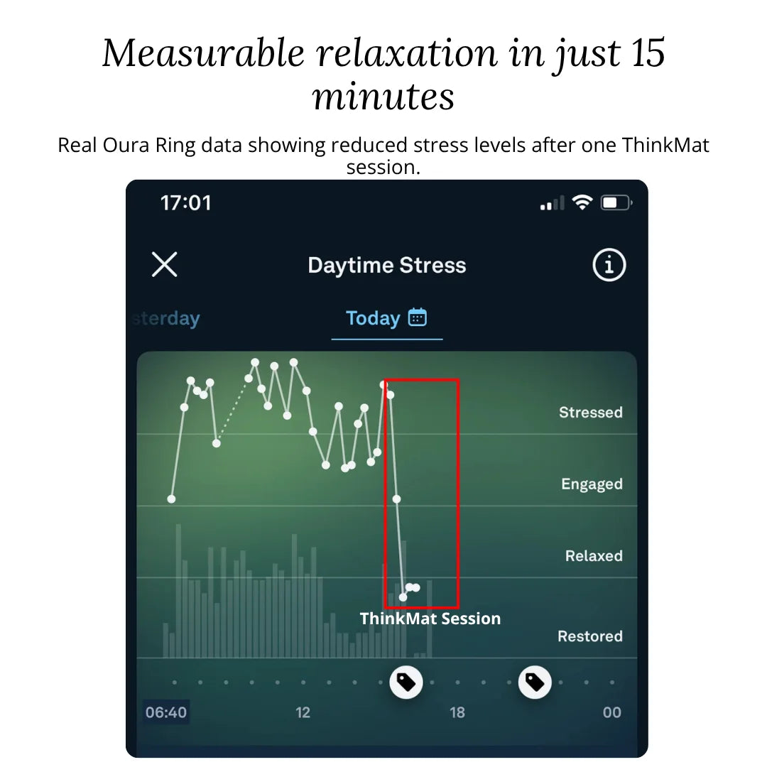 ThinkMat - Acupressure Mat